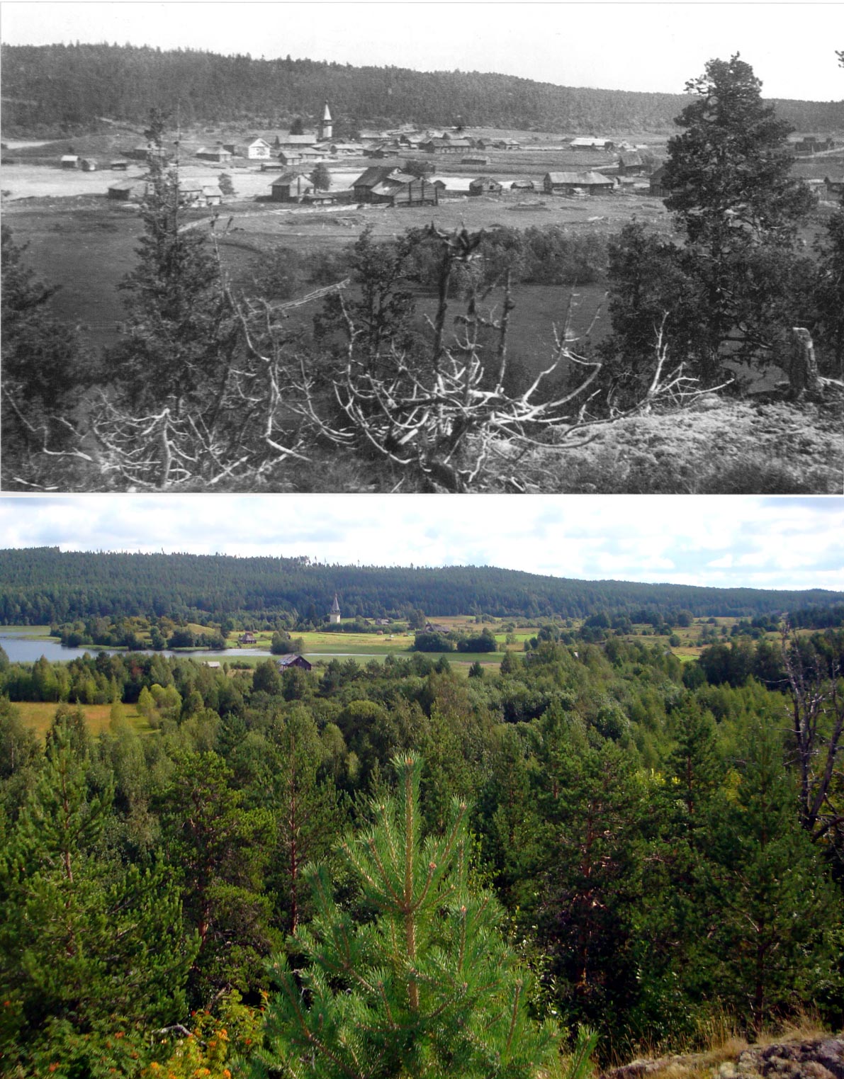 Общий вид на Вянишполе. 1937 и 2009 год.